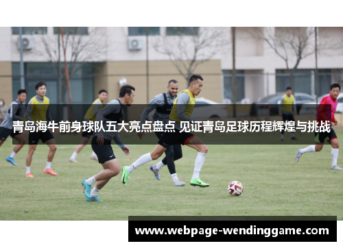 青岛海牛前身球队五大亮点盘点 见证青岛足球历程辉煌与挑战