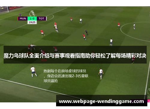 魔力鸟球队全面介绍与赛事观看指南助你轻松了解每场精彩对决