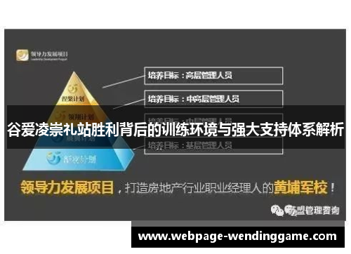 谷爱凌崇礼站胜利背后的训练环境与强大支持体系解析