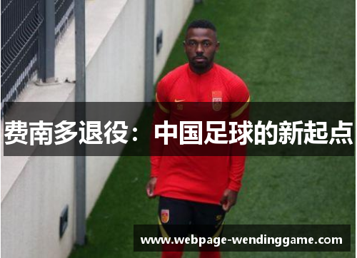 费南多退役:中国足球的新起点 费南多退役:中国足球的新起点