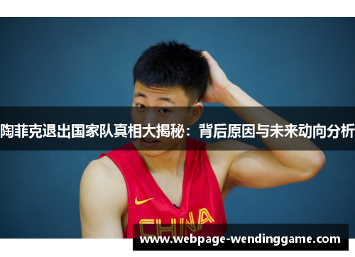 陶菲克退出国家队真相大揭秘:背后原因与未来动向分析 陶菲克退出国家队真相大揭秘:背后原因与未来动向分析
